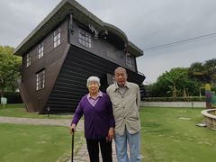 -金山农民画村-枫泾波兰倒置屋