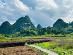 -靖西鹅泉风景区