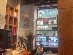 -T.1 hair salon烫染接发