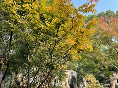 -惠山古镇·寄畅园