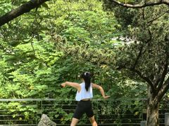 -苏州河梦清园环保主题公园