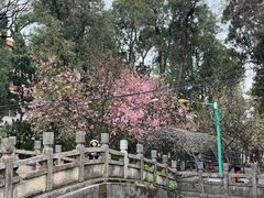 -昆明动物园