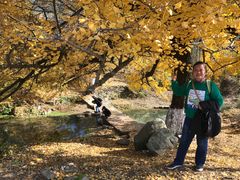 -千年银杏谷文化旅游区