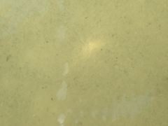 -泉城欧乐堡海洋极地世界