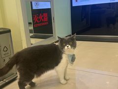 -悦宠凯宝动物医院·牙科·皮肤科(朝阳北路店)