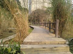 -成都市活水公园