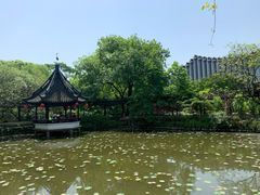 -上海醉白池公园