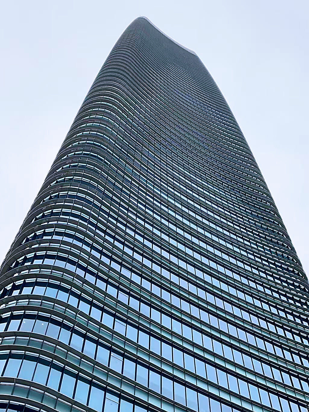 🌸🏙️上海新地标!白玉兰广场打卡记✨