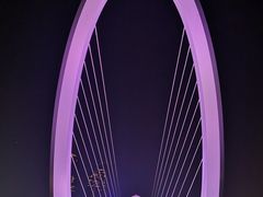 -南京眼步行桥