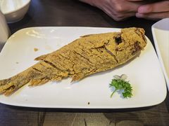 -老牌坊鲁菜名店(聊城美食岛店)