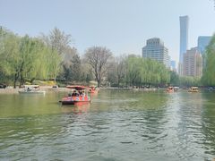 -团结湖公园