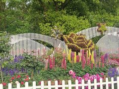 -上海共青森林公园