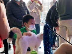 -平行世界·猫咖(首经贸店)