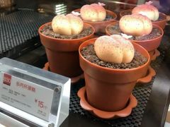 培根面包-85度C(苏州石路店)