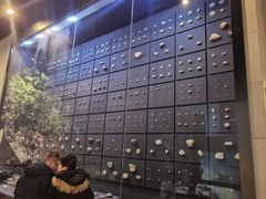 -北京周口店北京人遗址博物馆