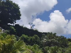 -东部华侨城