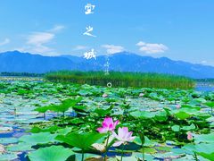 -野鸭湖国家湿地公园