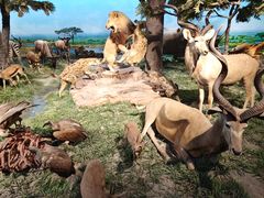 -国家自然博物馆