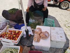 -阳台山自然风景区