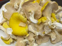 -菌之家·专业纯野生菌火锅·特色炒菌