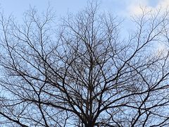 -粤塔X趣影电竞酒店(天河广场车陂地铁站店)