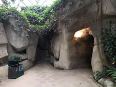 -南山植物园