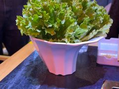 -杨记齐齐哈尔烤肉(五莲路店)