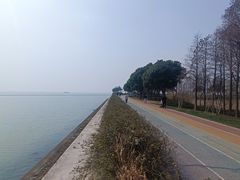 -贡湖湾湿地公园