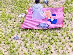 -朝阳公园游乐园