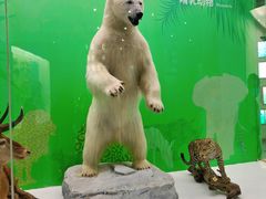 -国家自然博物馆