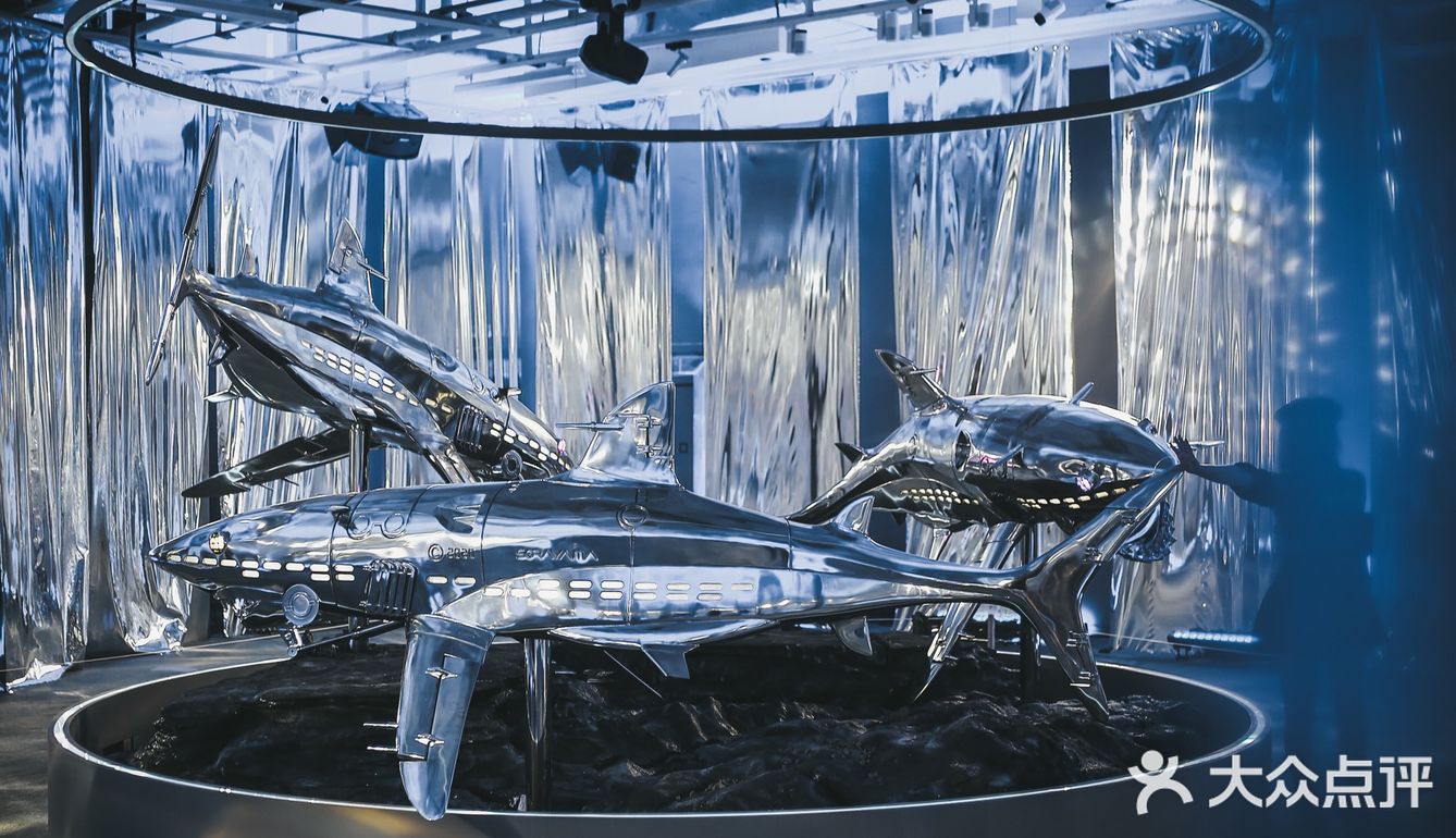 广州看展|k11空山基鲨鱼领域