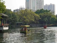-荔湾湖公园