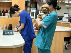 -联合动物医院(光谷诊疗中心)