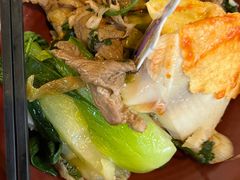 -Tangled Tree Tavern 老藤树食栈