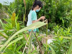 -南汇嘴观海公园