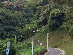 -黄埔油麻山森林公园