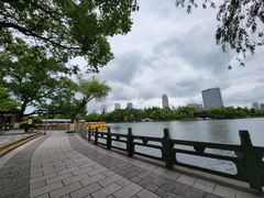 -月湖公园