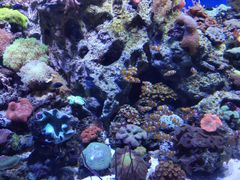 -珠海长隆海洋王国