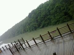 -大湾区中央湿地公园
