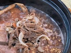 -一煲鸽