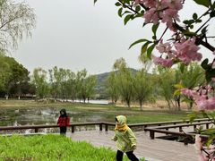 -长广溪湿地公园