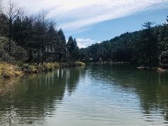 -四明山国家森林公园