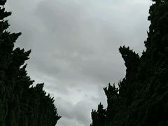 -上海市龙华烈士陵园