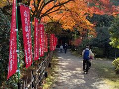 -醍醐寺