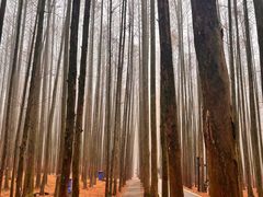 -山王坪喀斯特国家生态公园