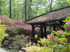 -南山风景名胜区