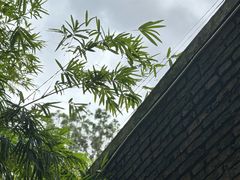 -南洋风味(万宁店)