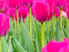 -长春公园(普阳街道)