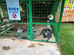 -成都安仁福朋喜来登酒店