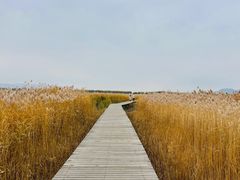 -野鸭湖国家湿地公园